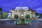 Отель Hotel Padang