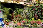 Отель Hotel Orchid