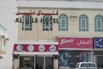 Отель Al Nile Hotel