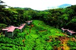 Отель The Rainforest Ecolodge