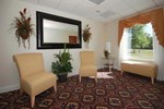 Отель Comfort Inn & Suites Statesboro