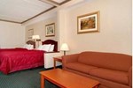 Отель Comfort Inn & Suites Mount Pocono