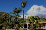 Отель Palm Tropics Motel