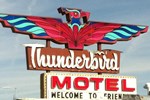 Отель Thunderbird Motel