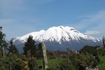 Hostal Patagonia Del Sur