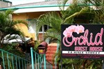 Orchid Guest House