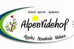 Отель Agriturismo Alpenvidehof