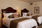 Отель Saddlebrook Resort & Spa