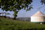 Quirky Camping Yurts