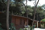 Отель Camping Pionier Etrusco
