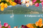 Мини-отель B&B Il Tulipano sul Lago