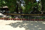 Отель Chitwan Gaida Lodge