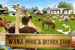 Отель Wana Horse and Ostrich Farm