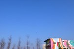 Отель Yilan Dream Colorful Homestay