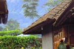 Sendangsari Bamboo Homestay