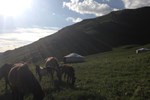 Отель Dream Adventure Mongolia