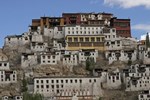 Отель Nimmu House Ladakh