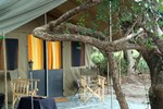Отель Mahoora Tented Safari Camp - Bundala