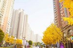 Yopark Serviced Apartment（Qiang Sheng garden）