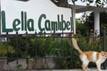 Lella Camlibel-Sut Yumurta Recel