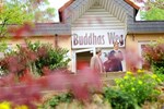 Buddhas Weg