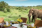 Отель Royal Madikwe Luxury Safari Lodge
