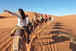Bivouac Camel Trips