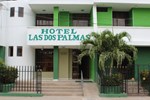 Отель Hotel Las Dos Palmas