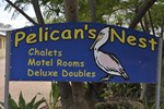 Pelican's Nest