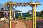 Lavendale Farmstay and Cottages York