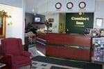 Отель Comfort Inn Kelso