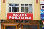 Отель Hotel Fortuna