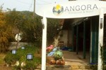 Мини-отель Angora Resort