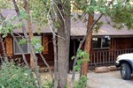 Granny's Love Shack by Big Bear Cool Cabins