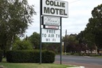 Отель Collie Motel