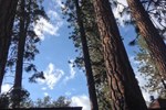 Yosemite's Anglers Rest