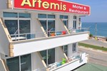 Отель Artemis Hotel