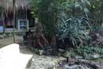 Отель Cavelands in the Jungle