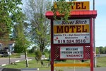 Отель The Silver Birch Motel