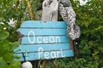 Отель Ocean Pearl Bonefishing Resort