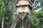 Tanna Lava View Bungalows