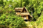 Отель Cotococha Amazon Lodge - Napo River Lodge