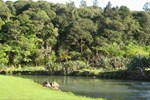 Kauri Coast TOP 10 Holiday Park