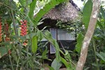 Отель Tambopata Tented Camp
