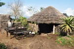 Отель Swazi Village Homestay