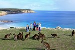 Вилла Waves & Wildlife Cottages Kangaroo Island