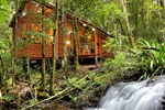 Отель The Mouses House Rainforest Retreat