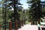 Апартаменты Alpine Delight by Tahoe Vacation Rentals