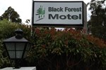 Отель Black Forest Motel