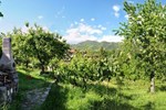 Mozzanella Holiday Home in Garfagnana